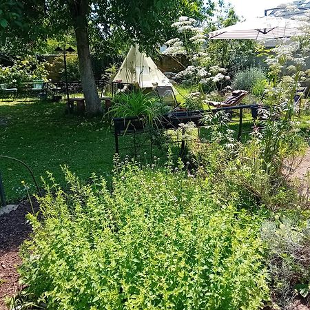 Indian Tent Tipi In Shared Lot And Shared Bathroom Mrse Екстер'єр фото