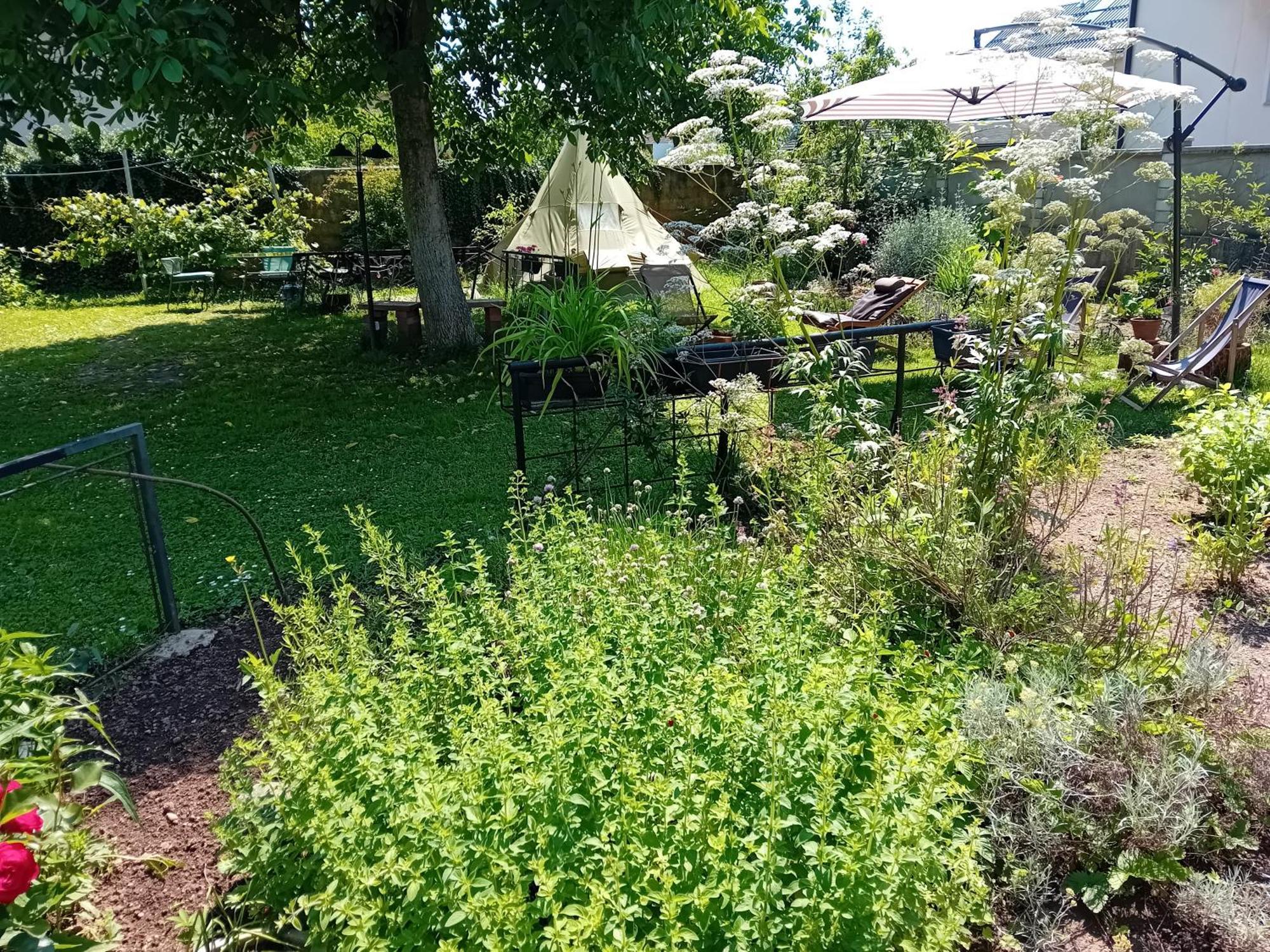 Indian Tent Tipi In Shared Lot And Shared Bathroom Mrse Екстер'єр фото